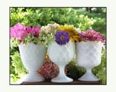Milk Glass Vase Collection of Three