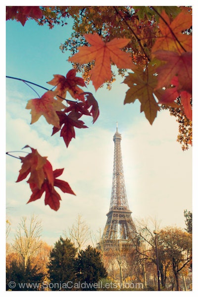 Autumn in Paris - Eiffel Tower - Fall colors, red orange maple leaves, Paris Photography, 8x12 Original Fine Art Photograph