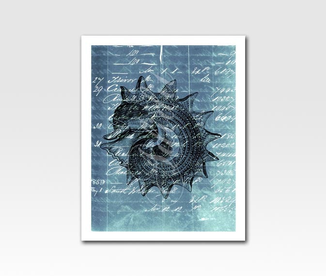Art Print Sea Shell Print on Vintage Ephemera Blue White Home Décor A4 Print Nursery Art Original Design by Adidit Print no. 098