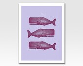 Art Print Etched Looking Print Three Whales Home Décor 5 X 7 inch Print Original Design by Adidit Print no. 036