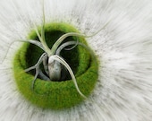 Air plant felted bowl / Two nesting bowls in fall tweed green / Cozy gift ring holder - theYarnKitchen