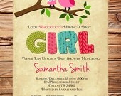 Owl Baby Shower Invitation, Baby Shower Invite, Boy, Girl, Whimsical, Blue, Pink, Baby shower Invite (Item 5128)