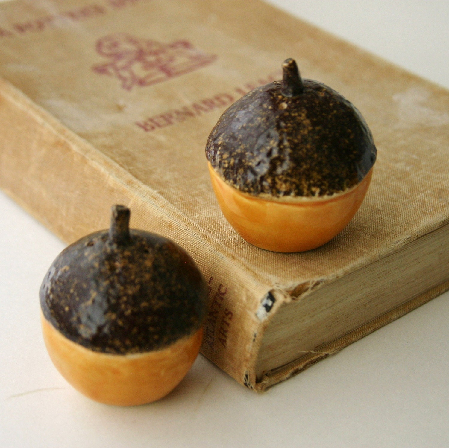 Acorn Salt & Pepper Shakers - Handmade Fall Home Decor - OOAK