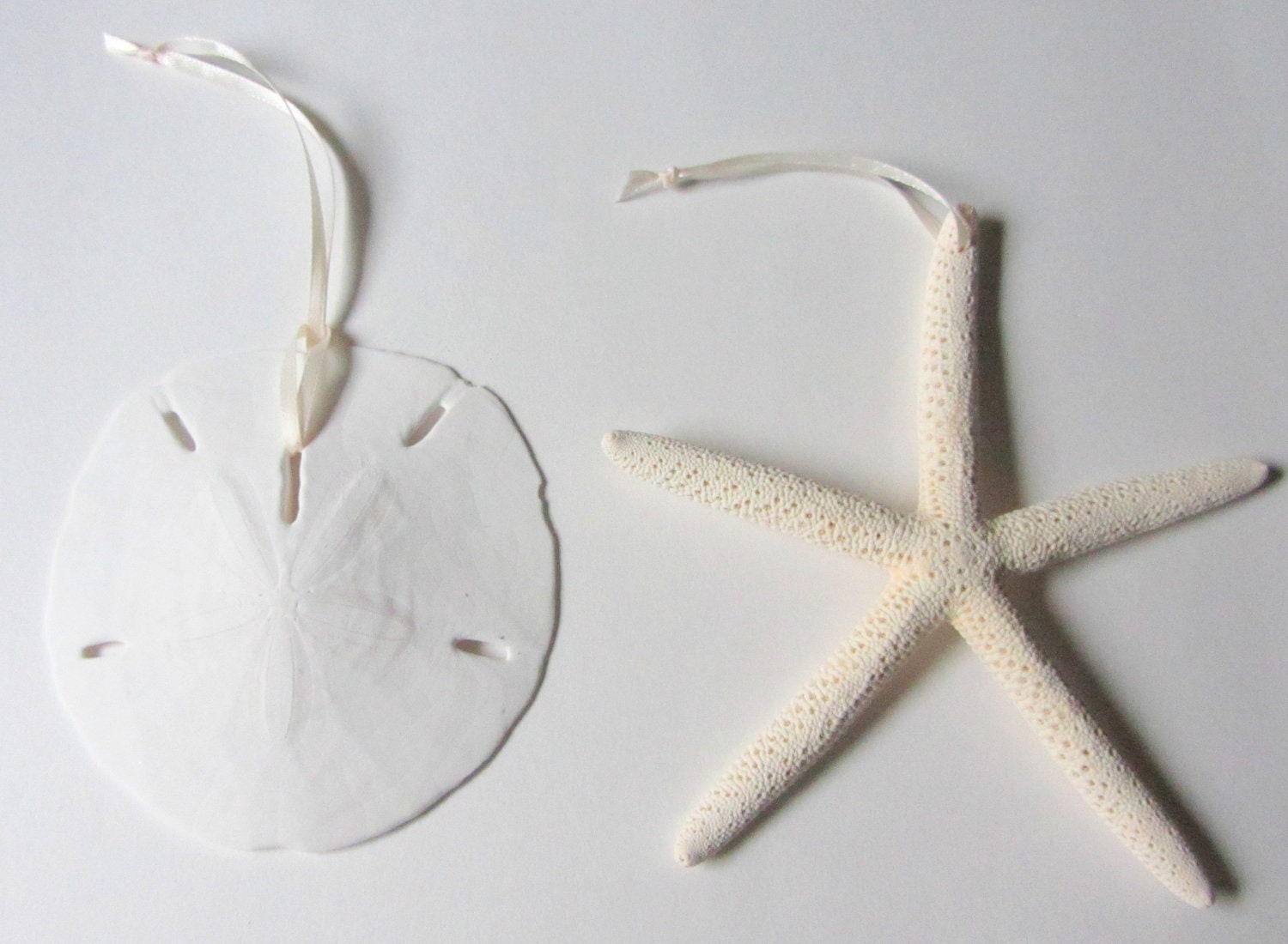Starfish and Sand Dollar Ornaments