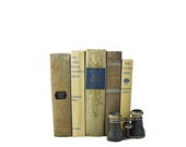 BRONZE & BLUE 1930s Book Collection Sets, Decorative Books, Wedding Decor, Antique, Instant Library,  Book Decor, Photo Prop, beige brown