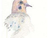 Mourning Dove -- 8 x 10 Watercolor Archival Print