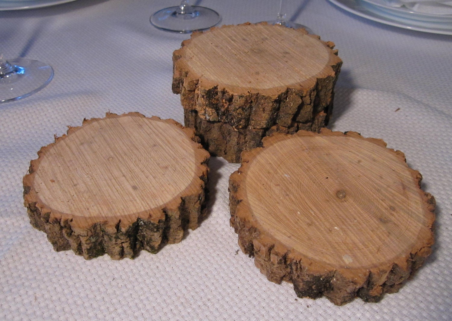 Set of Ten (10) Ash Wood Slices for Decoration