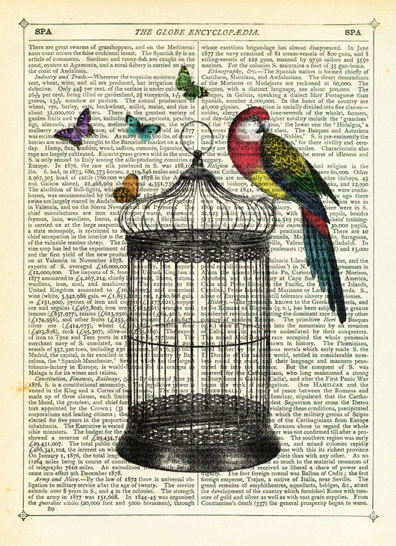Bird Cage, Butterflies and Parrot Dictionary Art Print Vintage Upcycled Book Page Art Collage