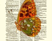 Orange Butterfly Dictionary Art Print, Antique Dictionary Page, Orange Butterfly Illustration, 116