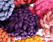 Chrysanthemum