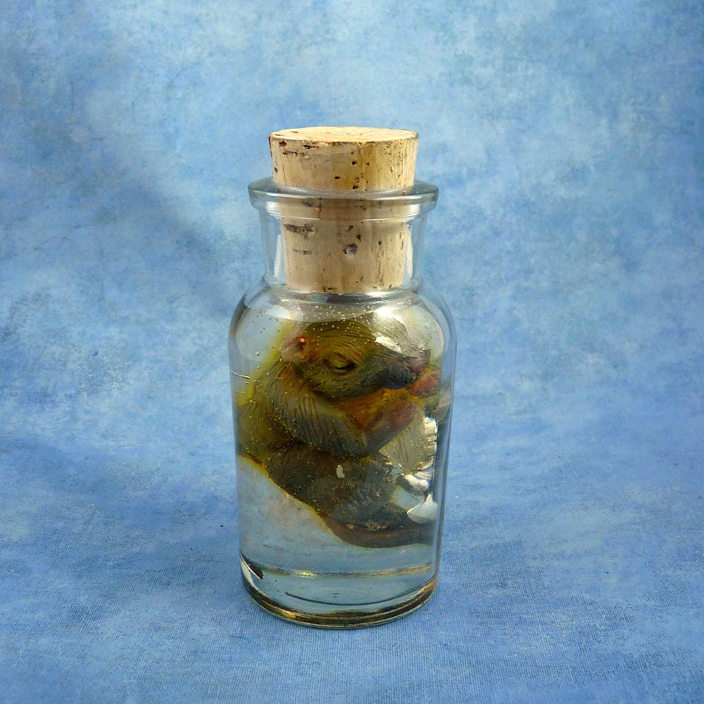 Mouse Specimen Jar, Original Mixed Media Rodent Sculpture