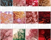2013 Photo Calendar, Buy 3 get 1 for free, Trees 2013 Calendar, Fine Art Photography, 5x7 loose leaf calendar, 12 mini prints, desk calendar