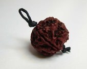 Rudraksha Pendant, Rudraksha Bead Pendant, Rudraksha