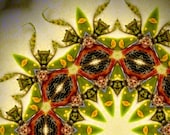 Flower Mantis Kaleidoscope Canvas Hanging 12x12"