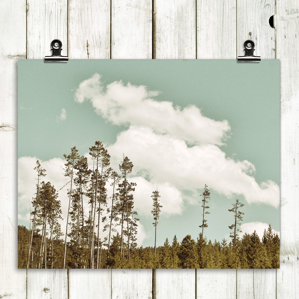 landscape photography, nature, trees, modern home decor, wall art, minimalist landscape - "The Largest Living Thing" - 8x10 print