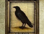 Crow - Recycled Dictionary Art Book Page Print Raven Art Print, Bird on old Dictionary Book Page mixed media collage
