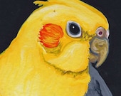 ACEO Cockatiel Bird Pet Original Painting Art-Carla Smale
