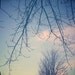 Tree photograph . blue sky print . nursery decor . cottage home decor . winter wall art . dreamy photography . 8x8