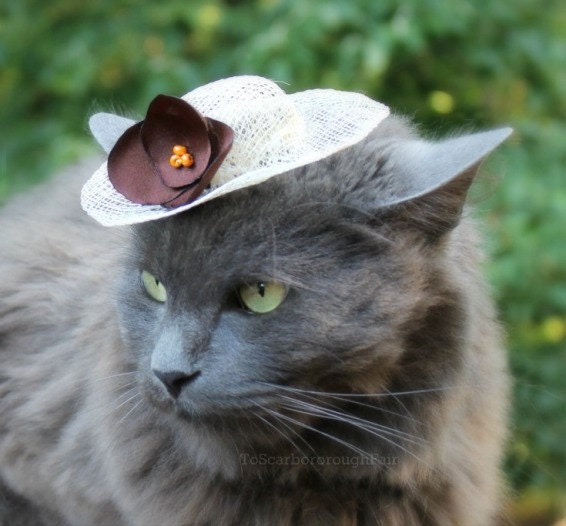 Hat for Cat - Easter Bonnet - French Roast