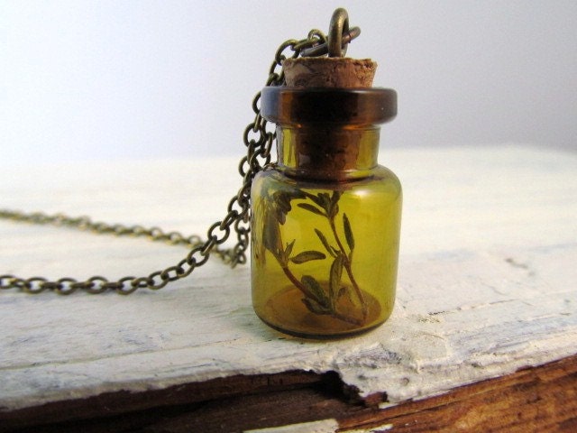 Glass Bottle Necklace, Mini Bottle Pendant with Cork and Tiny Branch, Terrarium Jewelry, Potion, Apothecary