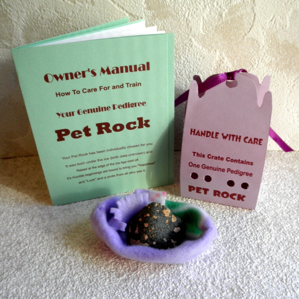 PET ROCK in carrying case, Bed n Training Manuel Med Size