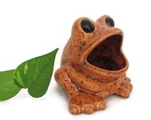 Kitchen Accessories -  Sponge Holder