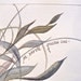 Feathered Fire, original watercolor painting from St. Catherine quote, 12x16
