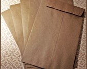 Kraft Brown Envelope (10) - catalog size 6 x 9