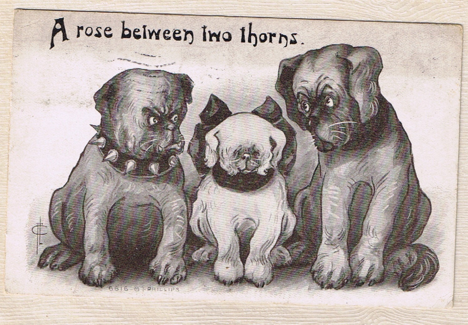 Caught In The Middle - In a Squeeze - Menage A Trois - Tough Choices - Artist Signed USA PC ca 1909