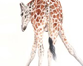 Giraffe painting - G064- nature natural wildlife art animal safari -  Print of watercolor painting-  5 by 7 print