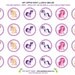 My Little Pony Birthday Cupcake Toppers - Stickers - Tags: Digital pdf File YOU PRINT -1.5 Inch Circles
