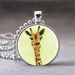 Giraffe Animal, Wildlife, Photo Pendant, Art Pendant, Glass Dome Pendant Necklace, no 999-28
