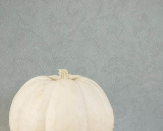 White Pumpkin Photography 8x10, Modern Thanksgiving Wall Decor, Titanium Gray Kitchen Art, Rustic Halloween Minimalist Fall Print