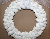 Seashell wreath, 13" white sea shell coastal decor beach cottage chic wedding