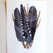Crow Feather Bundle - Watercolor Art Painting - Archival Print  - Black Friday Cyber Monday - 8x10 Crow Feather Bundle