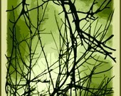 Modern Art Mystical Tree: Art Greeting Card  -  All Occasion Nature Card-Crisp Colors
