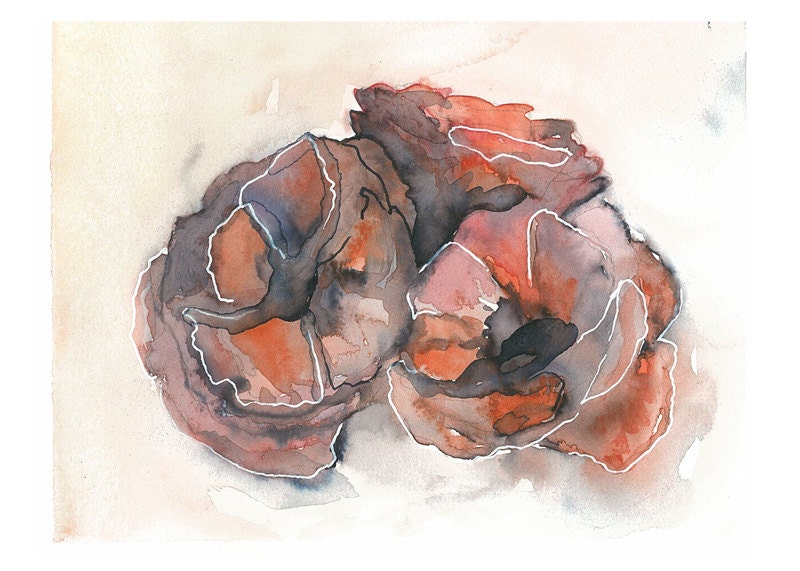 Ranunculus Flowers -- 5 x 7 Archival Watercolor Print