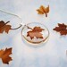 Autumn Necklace Petite Resin Jewelry Pressed Leaf Mini Maple Petite Transparent Airy Botanical Necklace / Pendant