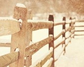 Nature Photography Snow Fence - Winter Fine Art Photo 8x10 Art Winter Photo - Farm Fence Snow - LisaBonowiczPhotos