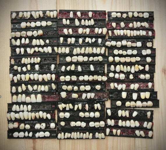 42 Cards HUGE  Lot Of Vintage Human Teeth On Wax Cards featured image