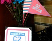 SPORTS Birthday for GIRLS - Printable Party Package - Featured in hot pink & aqua with FREE matching banner Il_170x135