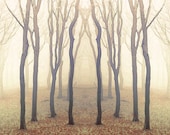 Tree Photography Landscape Photography Enchanted Woodland Dreamy Nature Golden brown - MOONGARDENART