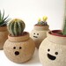 Hairy Babes Plant Pot: FABIO