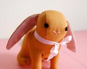 Orange Bunny