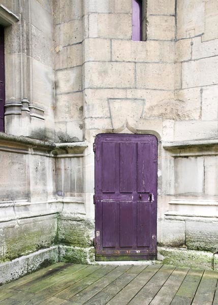 Paris Wall Decor, French Door in purple, Paris Photography, Moss Green, Gray, Neutral architectural print, men and women - Raceytay