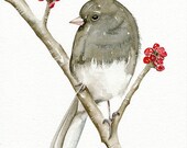 Watercolor Painting by Lorisworld - Bird - Bird Art PRINT, Limited Edition