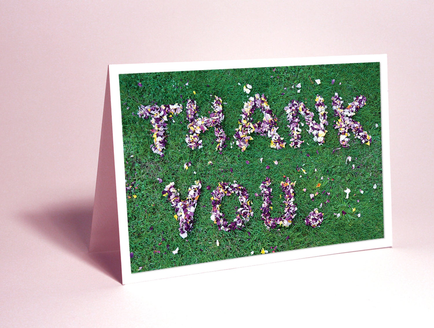 Thank You Card : Dried Flowers on Lawn