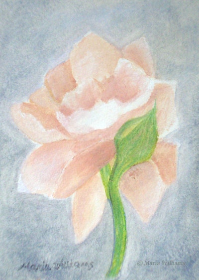 Ivory Rose  / Framed / Original Pastel by Maria Williams