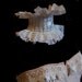 Wedding Bridal Collar Choker Ivory Neo Victorian Steampunk SHE SAID DESTROY by Lovechild Boudoir English Eccentric Couture