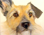 Buster - Fine art Print